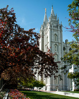 Red Leaves in SLC