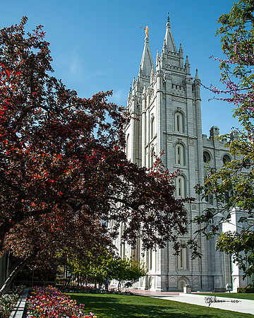 Red Leaves in SLC