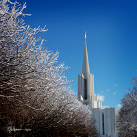 Jordan River Winter Spire