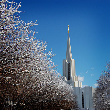 Jordan River Winter Spire