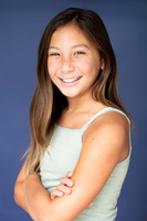 Brooke model