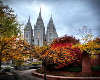 SLC Fall Colors