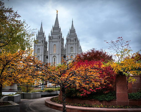 SLC Fall Colors