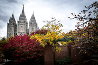 SLC Fall Windows