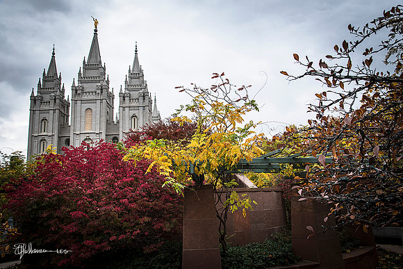 SLC Fall Windows